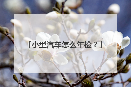 小型汽车怎么年检？