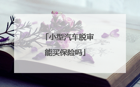 小型汽车脱审能买保险吗