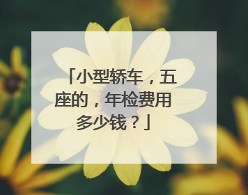 小型轿车，五座的，年检费用多少钱？