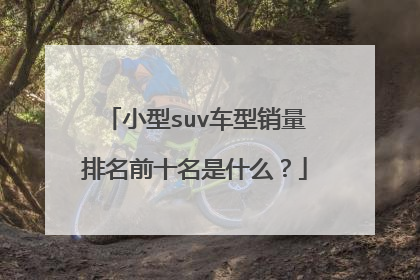 小型suv车型销量排名前十名是什么？