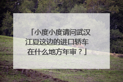 小度小度请问武汉江夏这边的进口轿车在什么地方年审？