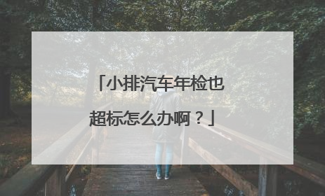 小排汽车年检也超标怎么办啊？