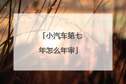 小汽车第七年怎么年审