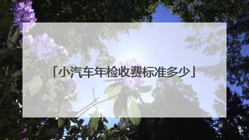 小汽车年检收费标准多少
