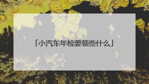 小汽车年检要领些什么