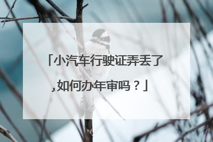 小汽车行驶证弄丢了,如何办年审吗？