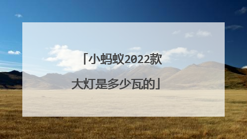 小蚂蚁2022款大灯是多少瓦的