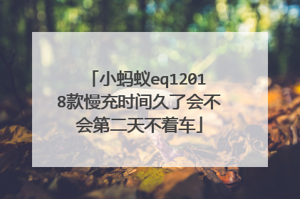 小蚂蚁eq12018款慢充时间久了会不会第二天不着车