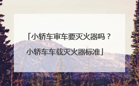 小轿车审车要灭火器吗？小轿车车载灭火器标准