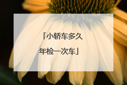 小轿车多久年检一次车
