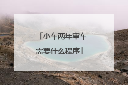 小车两年审车需要什么程序