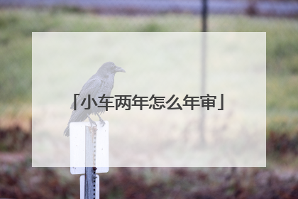 小车两年怎么年审