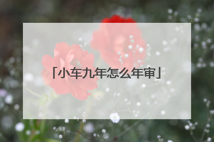 小车九年怎么年审
