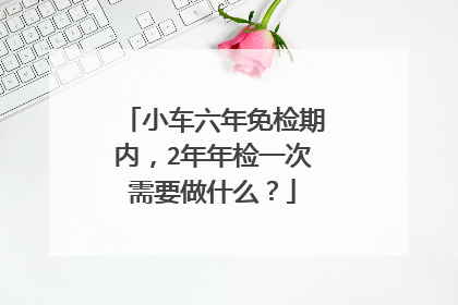 小车六年免检期内，2年年检一次需要做什么？