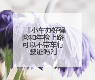 小车办好强险和年检上路可以不带车行驶证吗?
