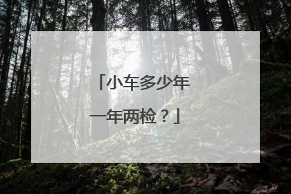 小车多少年一年两检？