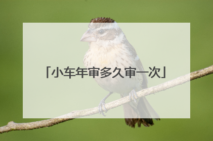 小车年审多久审一次