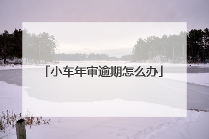 小车年审逾期怎么办