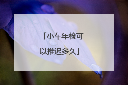 小车年检可以推迟多久