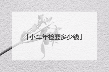 小车年检要多少钱