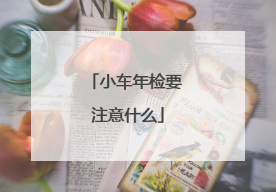 小车年检要注意什么
