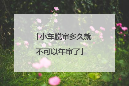 小车脱审多久就不可以年审了