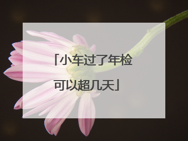 小车过了年检可以超几天
