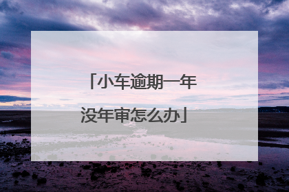小车逾期一年没年审怎么办