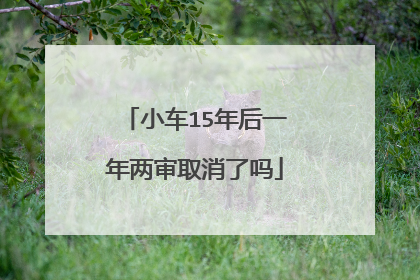 小车15年后一年两审取消了吗