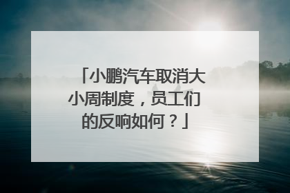 小鹏汽车取消大小周制度，员工们的反响如何？