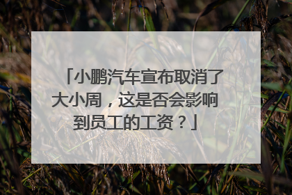 小鹏汽车宣布取消了大小周，这是否会影响到员工的工资？