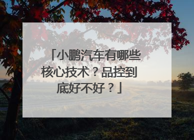 小鹏汽车有哪些核心技术？品控到底好不好？