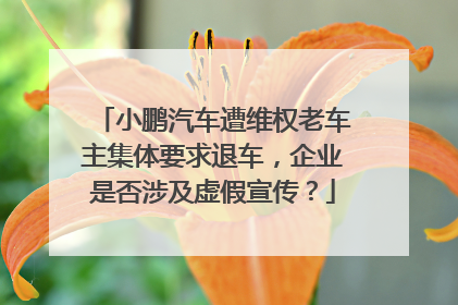 小鹏汽车遭维权老车主集体要求退车，企业是否涉及虚假宣传？