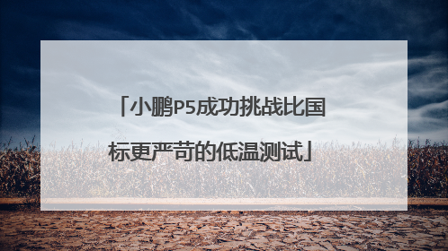 小鹏P5成功挑战比国标更严苛的低温测试