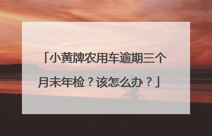 小黄牌农用车逾期三个月未年检？该怎么办？