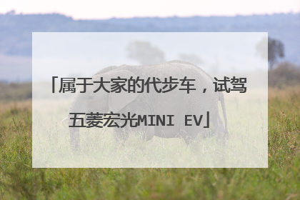 属于大家的代步车，试驾五菱宏光MINI EV