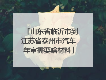 山东省临沂市到江苏省泰州市汽车年审需要啥材料