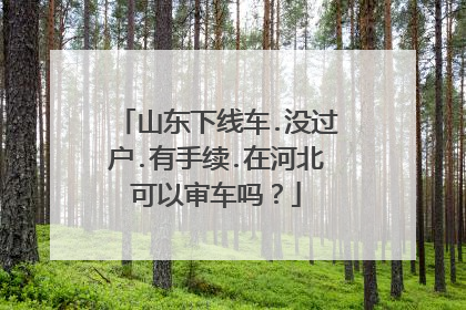 山东下线车.没过户.有手续.在河北可以审车吗？