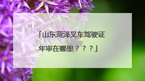 山东菏泽叉车驾驶证年审在哪里？？？