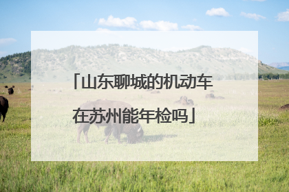 山东聊城的机动车在苏州能年检吗