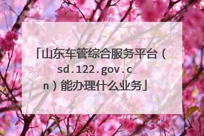 山东车管综合服务平台（sd.122.gov.cn）能办理什么业务
