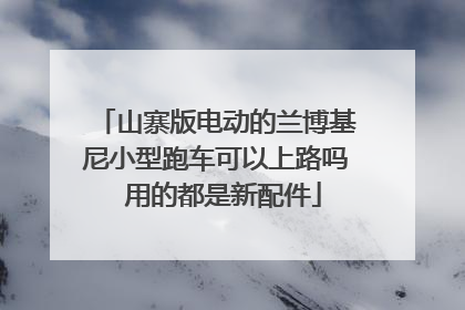 山寨版电动的兰博基尼小型跑车可以上路吗 用的都是新配件