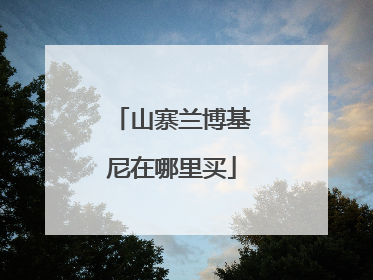 山寨兰博基尼在哪里买