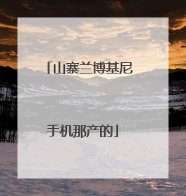 山寨兰博基尼手机那产的