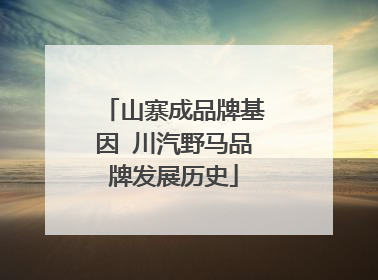 山寨成品牌基因 川汽野马品牌发展历史