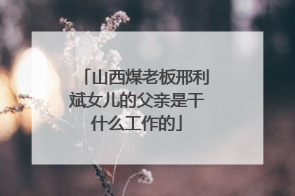 山西煤老板邢利斌女儿的父亲是干什么工作的