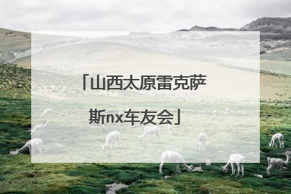 山西太原雷克萨斯nx车友会