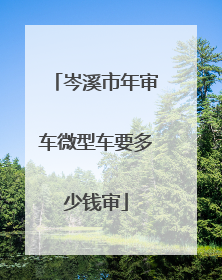岑溪市年审车微型车要多少钱审