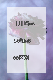 川崎w650和w800区别