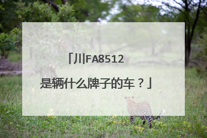 川FA8512  是辆什么牌子的车？